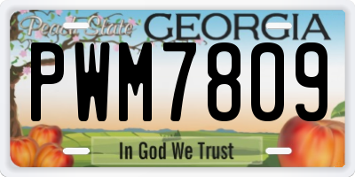 GA license plate PWM7809