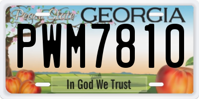 GA license plate PWM7810