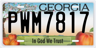 GA license plate PWM7817