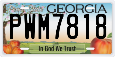 GA license plate PWM7818