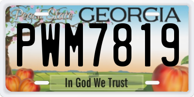 GA license plate PWM7819