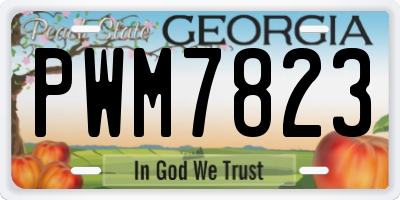 GA license plate PWM7823