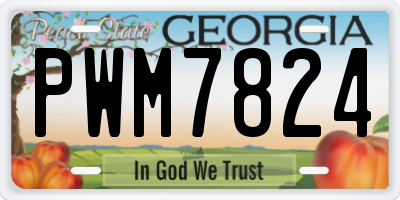 GA license plate PWM7824