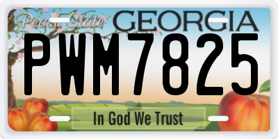 GA license plate PWM7825