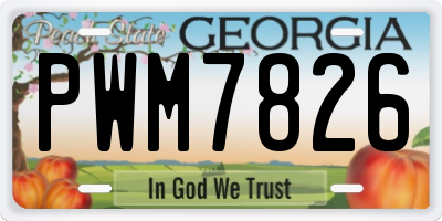 GA license plate PWM7826
