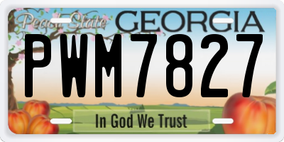 GA license plate PWM7827