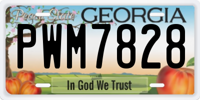 GA license plate PWM7828