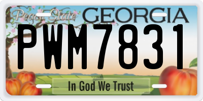 GA license plate PWM7831