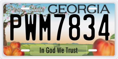 GA license plate PWM7834
