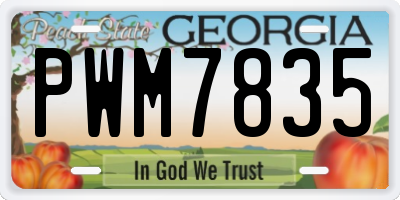 GA license plate PWM7835