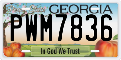 GA license plate PWM7836