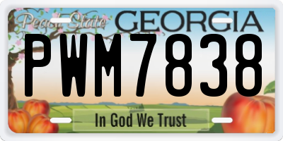 GA license plate PWM7838