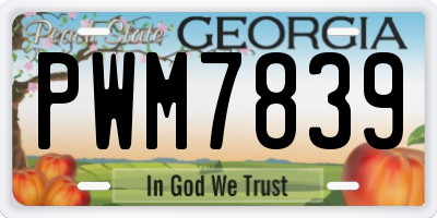 GA license plate PWM7839