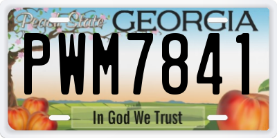 GA license plate PWM7841