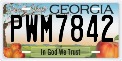 GA license plate PWM7842