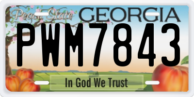 GA license plate PWM7843
