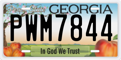 GA license plate PWM7844