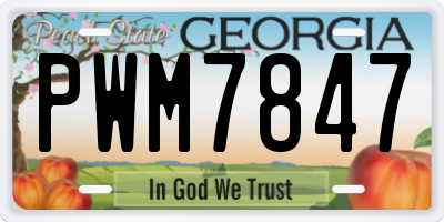 GA license plate PWM7847