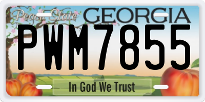 GA license plate PWM7855