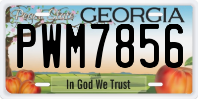 GA license plate PWM7856