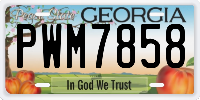 GA license plate PWM7858