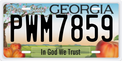 GA license plate PWM7859