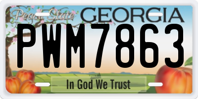 GA license plate PWM7863