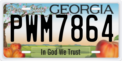GA license plate PWM7864
