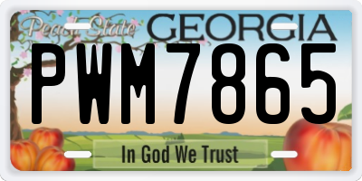 GA license plate PWM7865