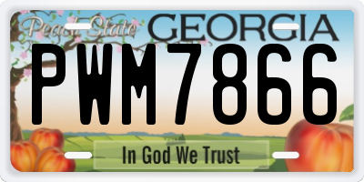 GA license plate PWM7866