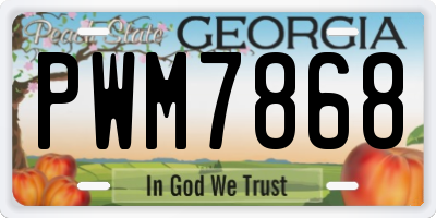 GA license plate PWM7868