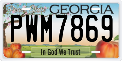 GA license plate PWM7869