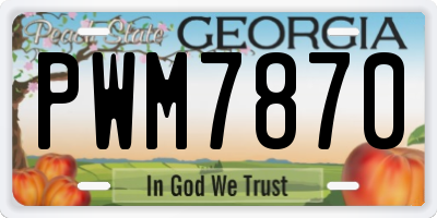 GA license plate PWM7870