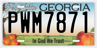 GA license plate PWM7871