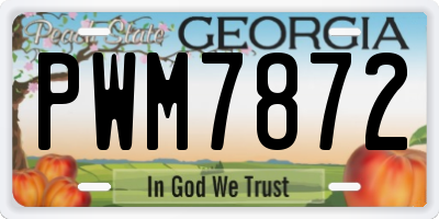 GA license plate PWM7872