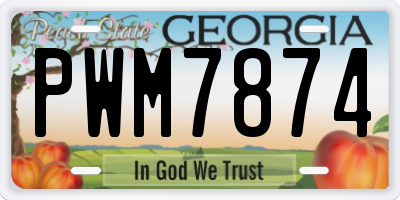 GA license plate PWM7874