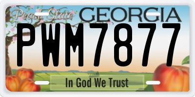 GA license plate PWM7877
