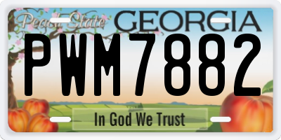 GA license plate PWM7882