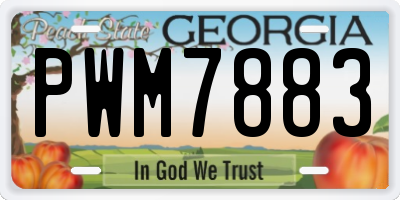 GA license plate PWM7883