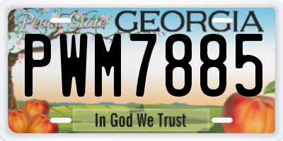 GA license plate PWM7885