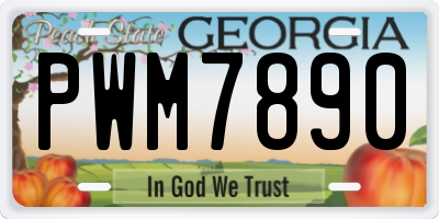GA license plate PWM7890