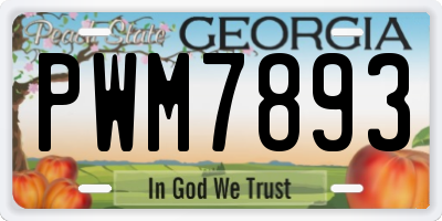 GA license plate PWM7893