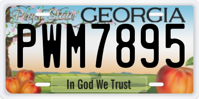 GA license plate PWM7895