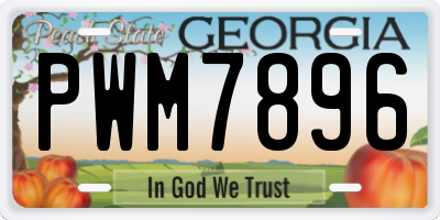 GA license plate PWM7896