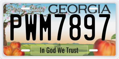 GA license plate PWM7897