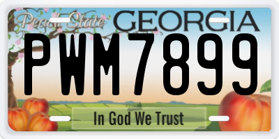 GA license plate PWM7899