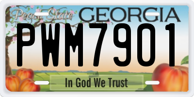GA license plate PWM7901