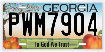GA license plate PWM7904