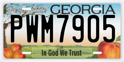 GA license plate PWM7905