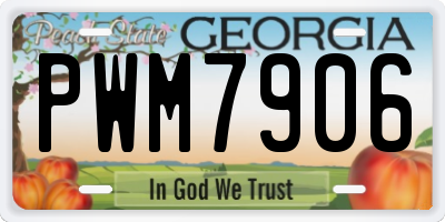 GA license plate PWM7906